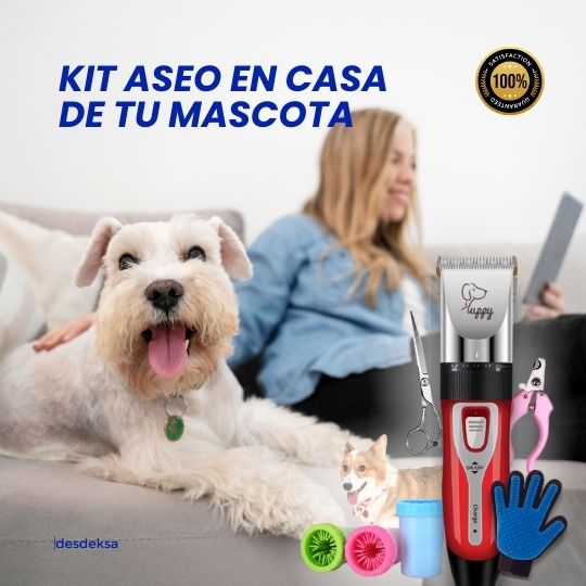 Kit Aseo en Casa de tu Mascota: Soluciones Prácticas y Eficientes