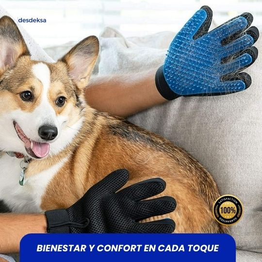 Kit Aseo en Casa de tu Mascota: Soluciones Prácticas y Eficientes