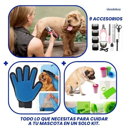 Kit Aseo en Casa de tu Mascota: Soluciones Prácticas y Eficientes