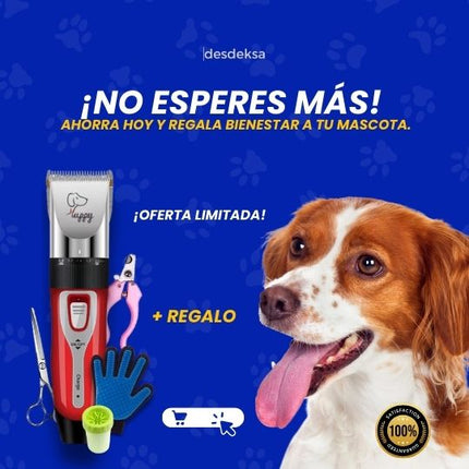 Kit Aseo en Casa de tu Mascota: Soluciones Prácticas y Eficientes